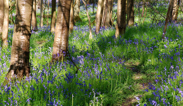 ashton mill oundle pilgrimage